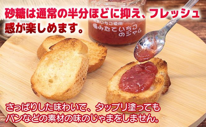 005A433 【先行予約】完熟朝摘みいちごのジャム【苺 無添加 自然素材 フルーツ イチゴ 高評価 数量限定】