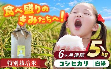 【6回定期便】特別栽培米　コシヒカリ　白米　5kg　お米　精米　愛西市／株式会社戸倉トラクター[AECS023]