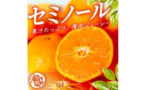 【先行予約】 セミノールオレンジ 約5kg ジューシー柑橘 和歌山県産