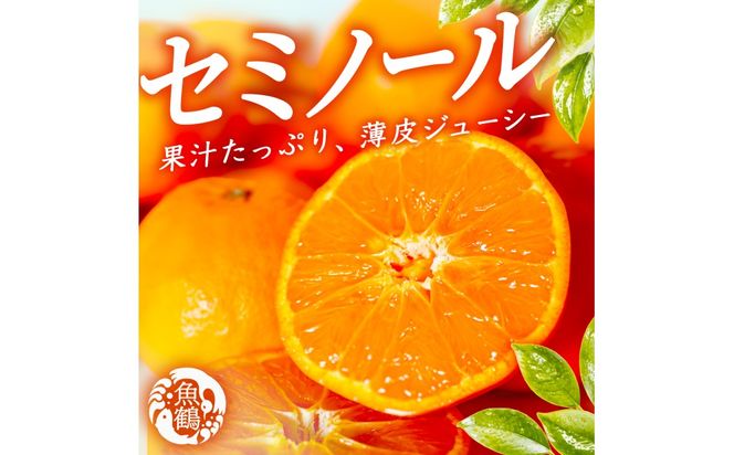 【先行予約】 セミノールオレンジ 約5kg ジューシー柑橘 和歌山県産