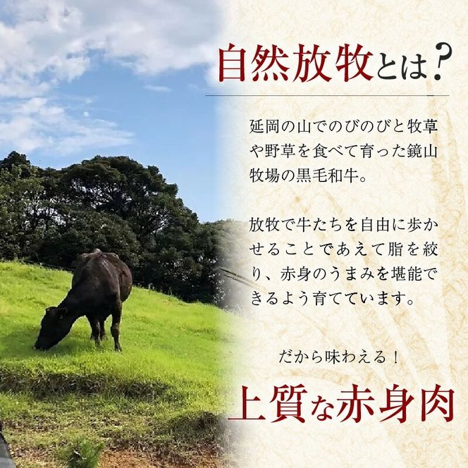 八崎牛の牛スジ(モモスジ)約900g N0105-YA3355