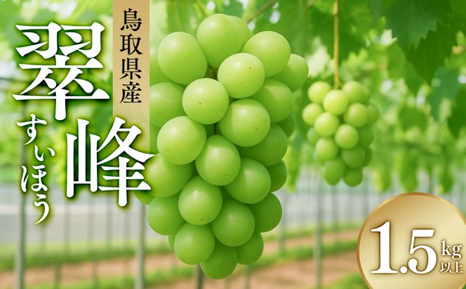 275.ぶどう　翠峰（すいほう）1.5kg以上　※2026年9月中旬～下旬頃に順次発送予定　※北海道・沖縄・離島への発送不可 313726_AA004