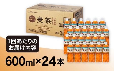 【全6回定期便】麦茶 600ml × 24本 糸島市 / スターナイン お茶 ペットボトル [ARM019] お茶 ペットボトル 500ml 24本 送料無料 麦茶 国産 常温