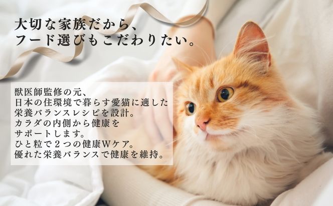 ビューティープロ キャット Ｗケア 下部尿路・腎臓の健康 1.2kg ｘ8(ケース単位) キャットフード