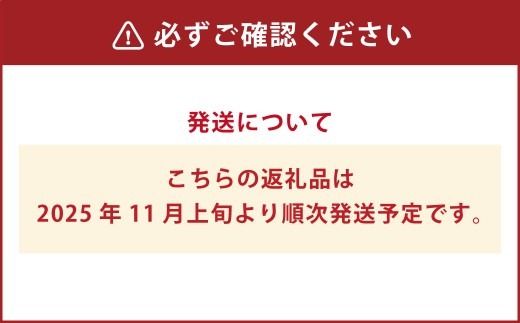 福岡県ブランド キウイフルーツ 「博多甘うぃ」 化粧箱 大玉9玉 約1.4kg 【2025年11月上旬～11月下旬発送予定】 キウイ 果物 フルーツ 九州 福岡県 香春町 冷蔵