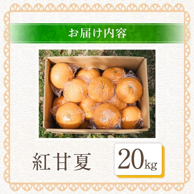 ＜先行予約受付中！2026年3月中旬以降順次発送予定＞数量限定！鹿児島県産 紅甘夏 (20kg・2L) 柑橘 フルーツ 果物 国産 みかん 期間限定 数量限定 ベニアマナツ ミカン 旬 【株式会社イロドリ】akn069-11