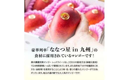 ※内容量が選べる※【令和9年発送】宮崎県産完熟マンゴー　「レッドクイーン」Lサイズ～4Lサイズ 【 果物 フルーツ マンゴー 宮崎県産 完熟マンゴー みやざきマンゴー 先行予約 季節限定 】 [B03210 B03211 B03212 B03213 B03214 B03215 B03216 B03217 B03218 B03219]