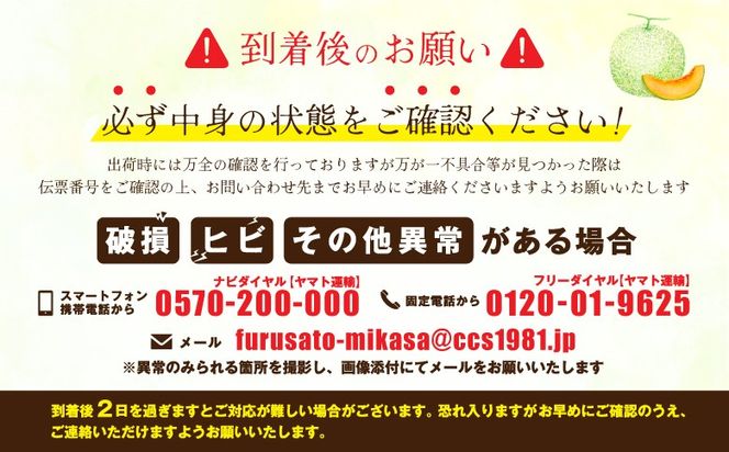 《2026年分受付中》大玉！とろける食感の北海道三笠メロン2玉入(3.2kg以上)【0106203】