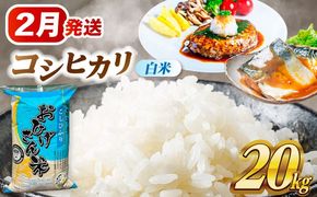 ＼2月発送分／ コシヒカリ 白米 20kg / 脇野コンバイン[AECP023-6]