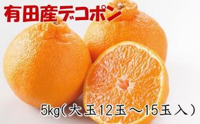 【お味濃厚】紀州有田産の大玉デコポン約5kg（12玉～18玉入り・青秀以上）※2027年1月中旬～2027年3月中旬頃順次発送【tec811B】