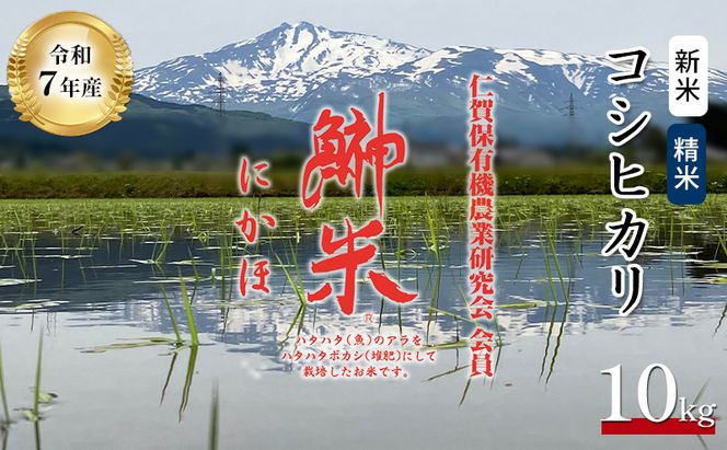 令和7年産11月から発送 特別栽培米 鰰米 コシヒカリ にかほ 精米 10kg