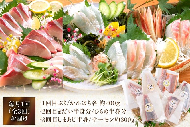 刺身 柵 旬のお刺身 3ケ月 定期便 2魚種 食べ比べ [請関水産 宮崎県 日向市 452061456] 冷蔵 詰め合わせ ぶり ヒラメ ひらめ 真鯛 鯛 マダイ タイ カンパチ かんぱち しまあじ サーモン 鮭