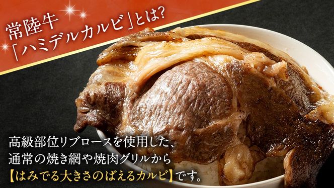 【 常陸牛 】A5 等級 ハミデルカルビ 500g (3～5枚) ひたちぎゅう ブランド牛 カルビ 国産牛 黒毛和牛 和牛 国産黒毛和牛 お肉 A5ランク 高級 BBQ パーティ (茨城県共通返礼品) [BX127-NT]