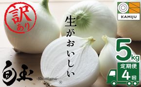 (2027年発送)訳あり 新玉ねぎ 定期便 5kg×4回　生がおいしい 神重農産のブランド玉ねぎ「旬玉」 ブランド玉ねぎ 玉ねぎ 新玉ねぎ 国産 愛知県産 野菜 やさい 農家直送 畑直送 旬 たまねぎ 先行予約 旬 特産 高評価 高リピート 人気 H105-232