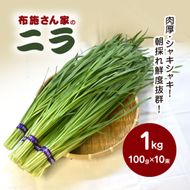 【先行予約】【11月から発送】肉厚・シャキシャキ! 朝採れ鮮度抜群! 布施さん家のニラ 1kg(100g×10束) SMBY001