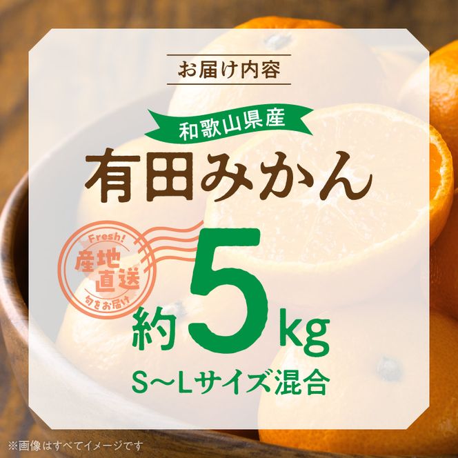 BL6500_【2026年先行予約】産地直送　和歌山県産 有田みかん 5kg