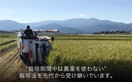 【全6回(月2回)定期便】栽培期間中 農薬不使用のお米 ヒノヒカリ 5kg 糸島市 シーブ [AHC006]米 定期便