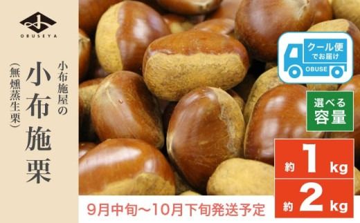 小布施栗（無燻蒸生栗） 約1kg 約2kg 選べる内容量 ［小布施屋］ 果物 フルーツ 生栗 くり 日本三大栗 令和7年産【2025年9月中旬～10月下旬発送】