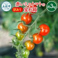 【先行予約】訳あり 赤いミニトマトの宝石箱 約3キロ 約3kg〈2026年11月下旬～2027年5月下旬まで〉 トマト とまと ミックス 詰め合わせ セット 野菜 料理 サラダ マリネ パスタ 浅漬け おやつ 弁当 甘味 酸味 新鮮 訳アリ 高知県 土佐市【ファーム輝】 [BQBM011]