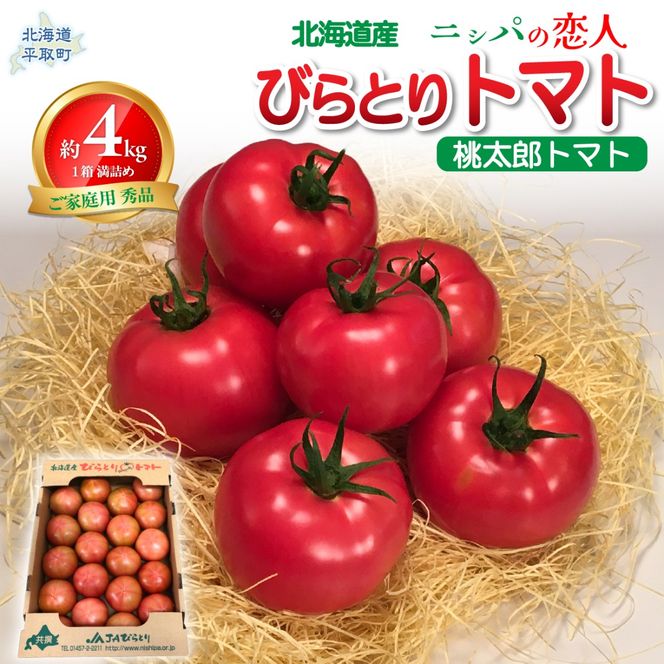 【先行予約/2026年6月以降発送】【家庭用】ニシパの恋人「びらとりトマト」秀品 1箱 約4kg（20～24個 満詰め） BRTO001