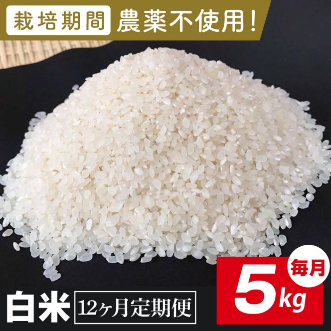 【2026年9月中旬発送開始】【12ヶ月定期便】★栽培期間農薬不使用★茨城県産 R８年産 こしひかり白米 5kg｜茨城県 行方市 ふるさと納税 お米 米 定期便 こしひかり 白米 精米 無農薬（BI-103）