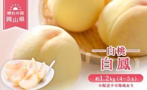 【 2026年 先行予約】 桃 岡山県産 白鳳 （ 白桃 ）約1.2kg(4～5玉) 《2026年7月上旬-中旬頃出荷》 白桃 岡山 はくとう スイーツ フルーツ 果物 先行予約 数量限定 期間限定 岡山 里庄町 モモ もも 桃 