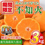 ＜先行予約受付中！2026年12月上旬以降順次発送予定＞ ＼テレビで紹介されました！／数量限定！鹿児島県産加温ハウス栽培の不知火「大将季」(計約3kg) 旬 フルーツ 果物 柑橘 みかん【三笠農業生産】akn051-07