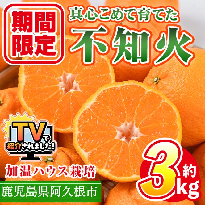 ＜先行予約受付中！2026年12月上旬以降順次発送予定＞ ＼テレビで紹介されました！／数量限定！鹿児島県産加温ハウス栽培の不知火「大将季」(計約3kg) 旬 フルーツ 果物 柑橘 みかん【三笠農業生産】akn051-07