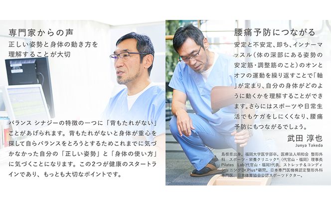 椅子 バランスシナジー カバー付き 選べる シート カラー 腰痛対策椅子 腰痛対策 家具