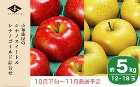 長野県りんごの味比べ 約5kg 12～18玉 シナノスイート シナノゴールド ［小布施屋］ りんご 林檎 リンゴ 果物 フルーツ 令和7年産【2025年10月下旬～11月発送】 ［A-501］