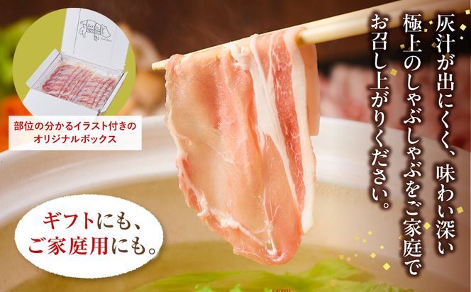 和豚もちぶたしゃぶしゃぶセット 合計800g（ロース バラ）ふるさと納税 【小分け 豚肉 ポーク 豚しゃぶ しゃぶしゃぶ肉 冷凍 和豚もちぶた こだわりの豚肉 おいしい豚 贈り物 贈答品 ご褒美 神奈川県 小田原市 】 142069_BX015