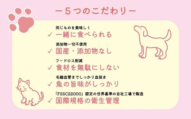 無添加 キャットフード スナック タイプ CalNyan （ カルニャン ） 3種 セット 真鯛 タイ たい まだい 野菜 果菜 クロレラ かぼちゃ ブロッコリー トマト 小松菜 枝豆 ピーマン ごぼう じゃがいも 等が原材料 おやつ ご褒美 えさ 餌 猫 ペット 人気 高級 贈答 プレゼント ギフト 土産 お取り寄せ オンスイ 愛南町 愛媛県