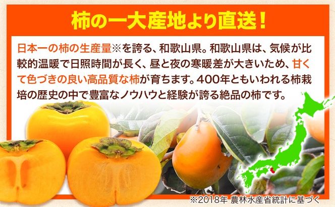 【ご家庭用/訳あり】たねなし柿 約1.5kg 約4kg 約7.5kg《2026年9月中旬-11月上旬頃より出荷予定》 和歌山県 紀の川市 柿 カキ かき ジューシー フルーツ---wfn_wlocal62_9c11j_25_4500_1500g---