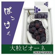 ぶどう 2026年 先行予約 ぼっけえ大粒ニューピオーネ1房(800g以上) 化粧箱入り ブドウ 葡萄 岡山県産 国産 フルーツ 果物 ギフト [№5735-2007]