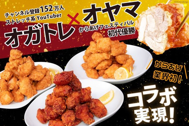 オガトレ監修 高タンパク 唐揚げ 「からあげたんぱっくん」2種セット (醤油風味 塩味) 計1.6kg (800g×2袋) [オヤマ 宮城県 気仙沼市 20564757] からあげ から揚げ 惣菜 お惣菜 国産 鶏肉 鶏 肉 簡単調理 冷凍 お弁当 おかず たんぱく質 冷凍食品 醤油 塩