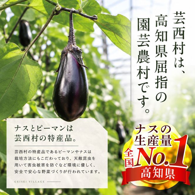 【CF-R7hbk】朝どれ！野菜の詰合せ／芸西村で採れた新鮮な野菜6～8種類をお届けします。