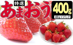 いちご 2027年2月下旬より発送 特選あまおう 400g※配送不可：離島 
