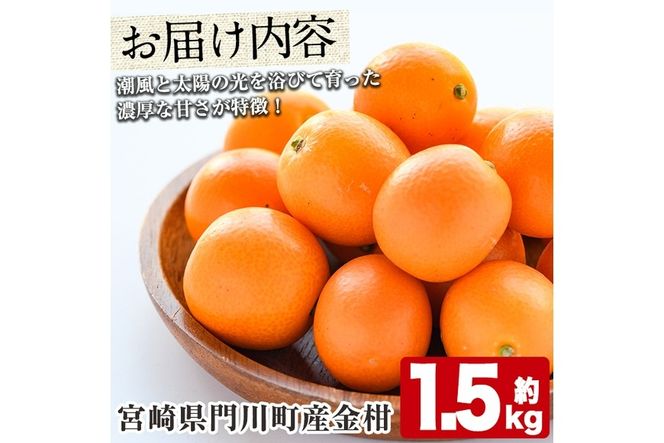 ＜先行予約受付中！2026年2月以降順次発送予定＞宮崎県門川町産きんかん(約1.5kg)金柑 キンカン 柑橘 フルーツ 果物 国産 冷蔵【AE-11】【勝農園】