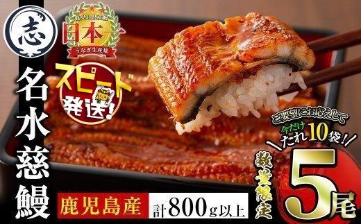 国産うなぎ蒲焼名水慈鰻5尾（合計800ｇ以上） c0-124