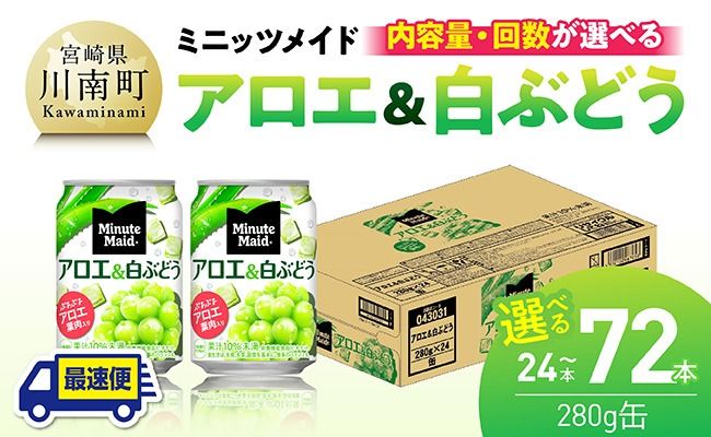 ※内容量と回数が選べる※コカ・コーラ ミニッツメイド「アロエ&白ぶどう」280g缶 [ 飲料 アロエ 白ぶどう 果汁 長期保存 定期便 ] [C11131-ss C11132-ss C11133-ss C11131 C11132 C11133 C11131t3 C11132t3 C11133t3]