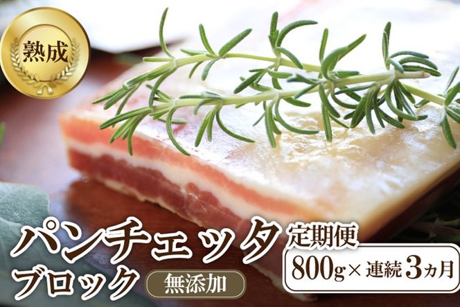 【定期便 毎月×3回】パンチェッタブロック（豚バラ肉の塩漬け）　約200g×4袋 ふるさと納税 豚肉 塩漬け ふるさと納税 ベーコン ふるさと納税 パンチェッタ 豚バラ 塩漬け スペイン料理　NI00025