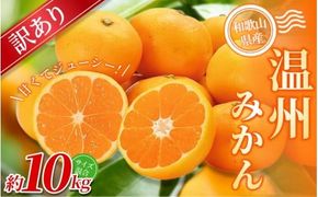 【訳あり】 温州みかん 約10kg 和歌山県産 2S~2Lサイズ混合※2025年11月上旬～2026年2月中旬ごろに順次発送【mrmt010】