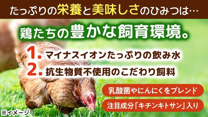 キトサン 健康 たまご 80個入 赤玉 卵 タマゴ 鶏卵 鶏 卵かけごはん ゆで卵 赤たまご 国産 茨城県 玉子 [EE001us]