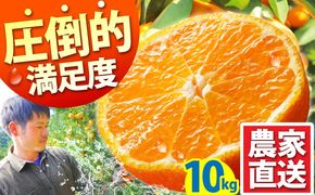 【ふるさと納税】【2026年10月下旬〜発送】温州みかん 10kg / みかん ミカン 蜜柑 フルーツ 果物 / 南島原市 / 蜜柑屋まつお [SCQ002]