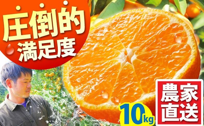 【ふるさと納税】【2026年10月下旬〜発送】温州みかん 10kg / みかん ミカン 蜜柑 フルーツ 果物 / 南島原市 / 蜜柑屋まつお [SCQ002]