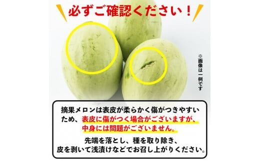 【期間限定・数量限定】鹿児島県志布志産 摘果メロン(子メロン・小メロン) 2kg a0-330-02