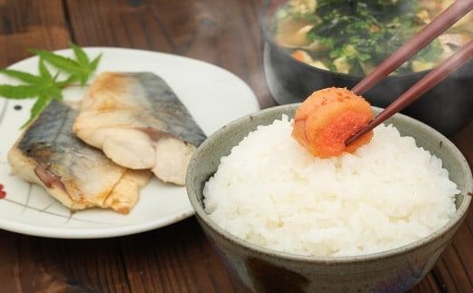 切子 家庭用 無着色 辛子めんたい 約900g 約180g×5パック / 福さ屋 辛子明太子 切れ子 明太子 海鮮 魚卵 魚介類