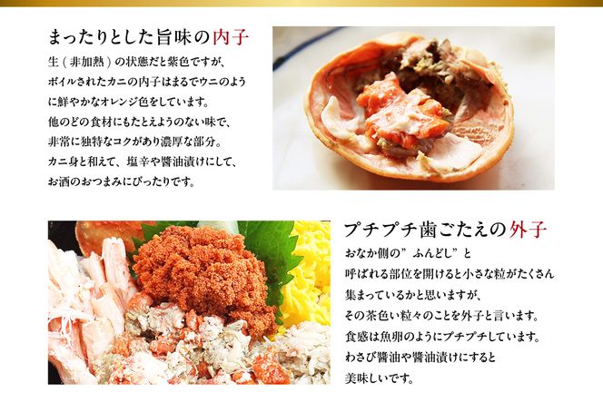 【セコガニ 約120g×6匹 釜茹で 冷凍】濃厚 かにミソ 内子 外子 産地直送 鮮度抜群 国産 カニ かに 蟹 松葉がに せいこがに メスガニ 親ガニ ふるさと納税 おすすめ 返礼品 兵庫県 香美町 香住 日本海フーズ にしとも かに市場 07-08 ☆