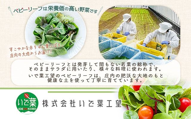 庄内産 ベビーリーフミックス 70g×2袋 土耕栽培 サラダ スムージー 若葉 野菜 生野菜 新鮮 山形県 冷蔵