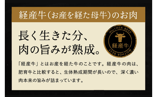 【累計2万パック突破！】但馬牛経産牛「焼肉用」（肩・モモ）1kg(500g×2) 020AA11N.／焼肉セット 黒毛和牛 いちかわ精肉店 経産牛 牛肉 肉 お肉 国産 bbq バーベキュー 焼き肉セット アウトドア キャンプ 冷凍 焼き肉用